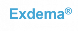 Interim_Management_Exdema