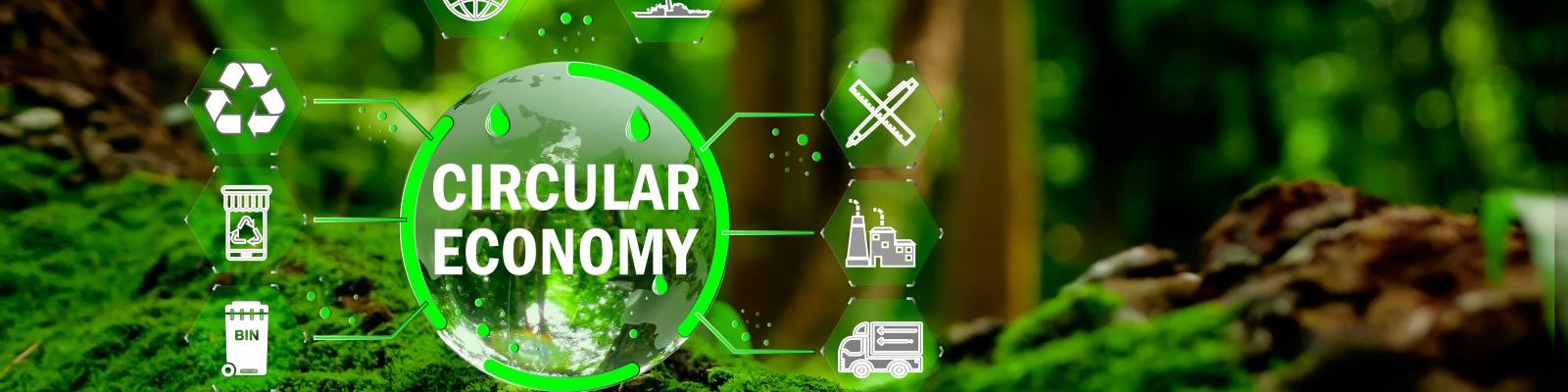 Bild in dem die Circular Economy erklärt wird.