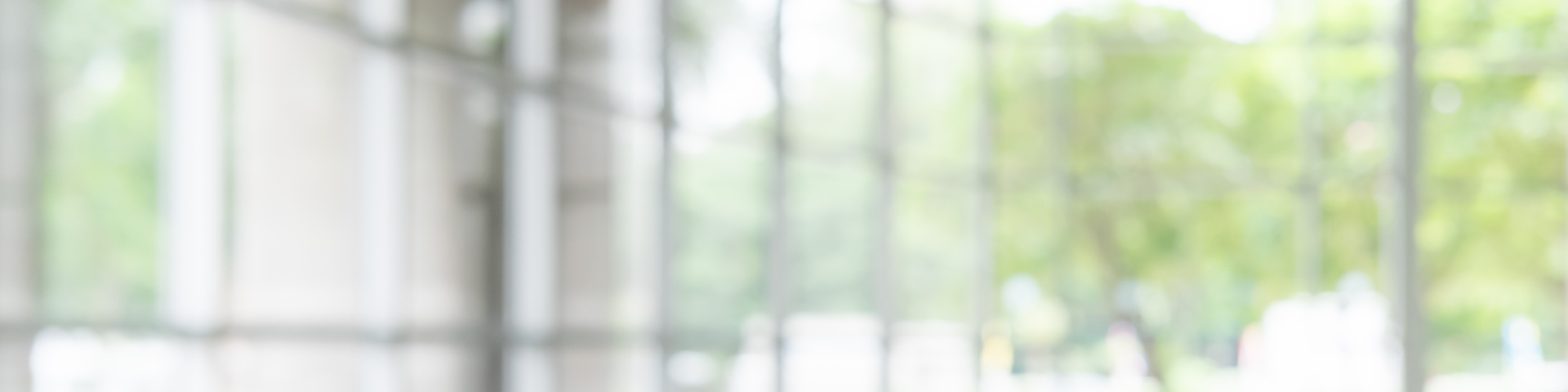 Employees of ebp-consulting tell about everyday work life